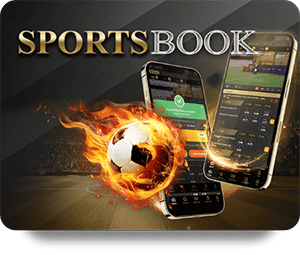 12BET Đá Gà Trực Tiếp – Mẹo Nhận Biết Gà Thắng